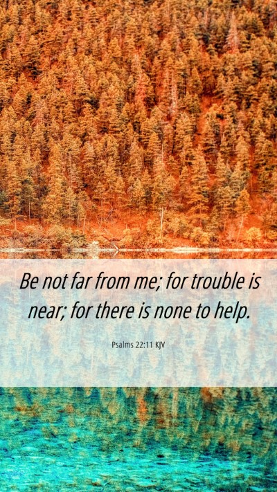 Picture 06 - Psalms 22:11 KJV Mobile Phone Wallpaper - Be not far from me; for trouble is near; for - Mobile Bible Verse Wallpaper