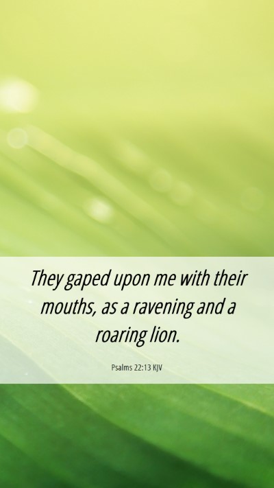 Picture 06 - Psalms 22:13 KJV Mobile Phone Wallpaper - They gaped upon me with their mouths, as a - Mobile Bible Verse Wallpaper