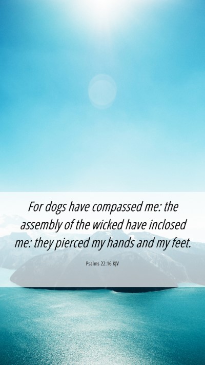 Picture 06 - Psalms 22:16 KJV Mobile Phone Wallpaper - For dogs have compassed me: the assembly of the - Mobile Bible Verse Wallpaper