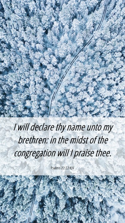 Picture 06 - Psalms 22:22 KJV Mobile Phone Wallpaper - I will declare thy name unto my brethren: in the - Mobile Bible Verse Wallpaper