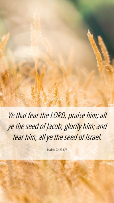 Picture 06 - Psalms 22:23 KJV Mobile Phone Wallpaper - Ye that fear the LORD, praise him; all ye the - Mobile Bible Verse Wallpaper