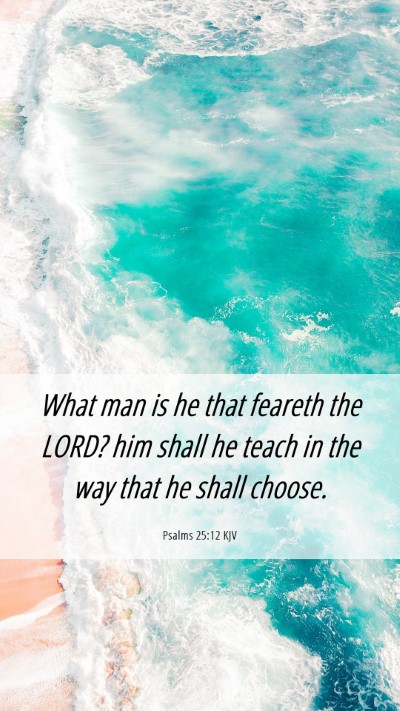 Picture 06 - Psalms 25:12 KJV Mobile Phone Wallpaper - What man is he that feareth the LORD? him shall - Mobile Bible Verse Wallpaper