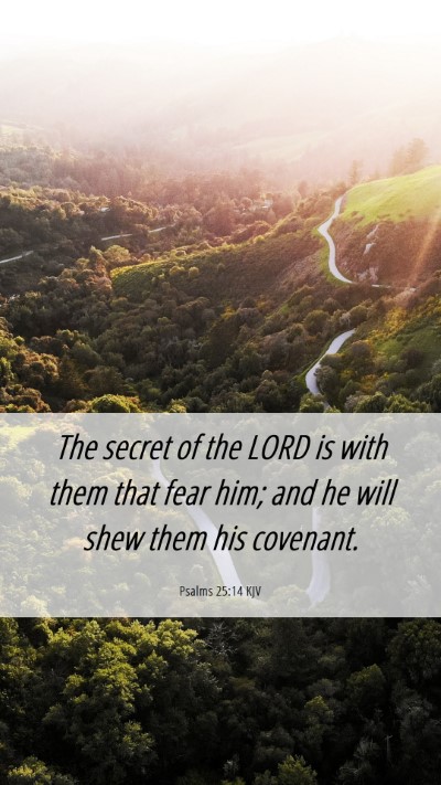 Picture 06 - Psalms 25:14 KJV Mobile Phone Wallpaper - The secret of the LORD is with them that fear - Mobile Bible Verse Wallpaper