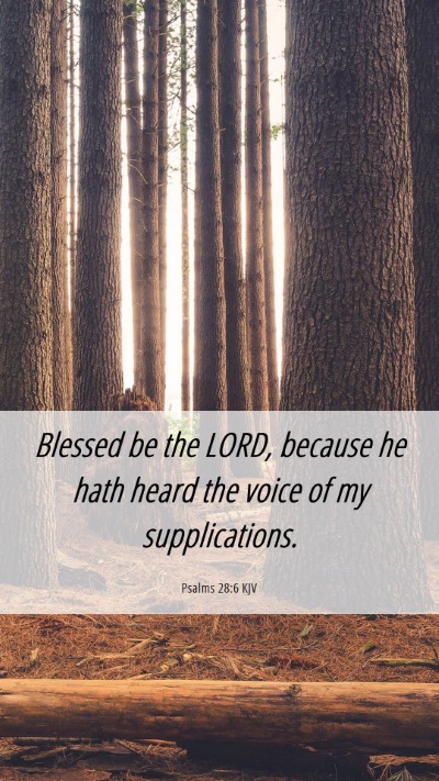 Picture 06 - Psalms 28:6 KJV Mobile Phone Wallpaper - Blessed be the LORD, because he hath heard the - Mobile Bible Verse Wallpaper