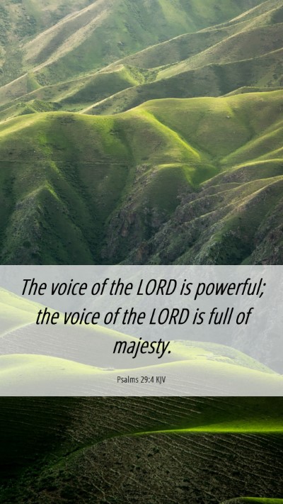 Picture 06 - Psalms 29:4 KJV Mobile Phone Wallpaper - The voice of the LORD is powerful; the voice of - Mobile Bible Verse Wallpaper