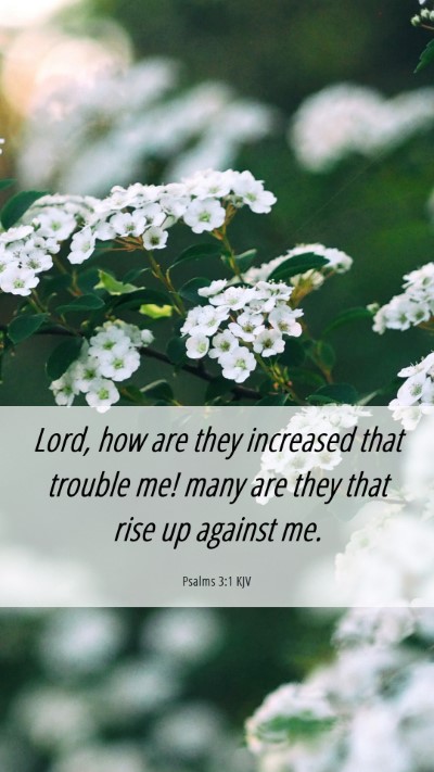 Picture 06 - Psalms 3:1 KJV Mobile Phone Wallpaper - Lord, how are they increased that trouble me! - Mobile Bible Verse Wallpaper