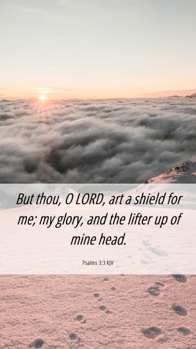 Picture 06 - Psalms 3:3 KJV Mobile Phone Wallpaper - But thou, O LORD, art a shield for me; my glory, - Mobile Bible Verse Wallpaper