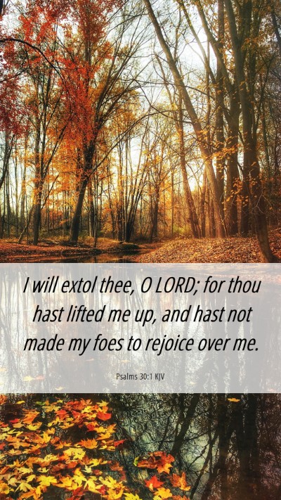 Picture 06 - Psalms 30:1 KJV Mobile Phone Wallpaper - I will extol thee, O LORD; for thou hast lifted - Mobile Bible Verse Wallpaper