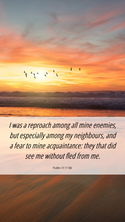 Picture 06 - Psalms 31:11 KJV Mobile Phone Wallpaper - I was a reproach among all mine enemies, but - Mobile Bible Verse Wallpaper