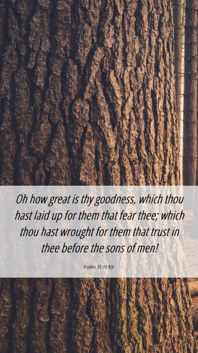 Picture 06 - Psalms 31:19 KJV Mobile Phone Wallpaper - Oh how great is thy goodness, which thou hast - Mobile Bible Verse Wallpaper