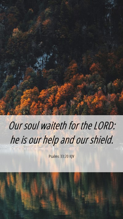 Picture 06 - Psalms 33:20 KJV Mobile Phone Wallpaper - Our soul waiteth for the LORD: he is our help and - Mobile Bible Verse Wallpaper