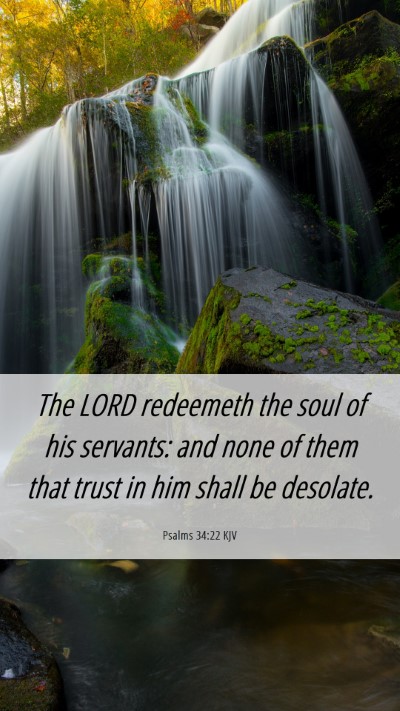Picture 06 - Psalms 34:22 KJV Mobile Phone Wallpaper - The LORD redeemeth the soul of his servants: and - Mobile Bible Verse Wallpaper