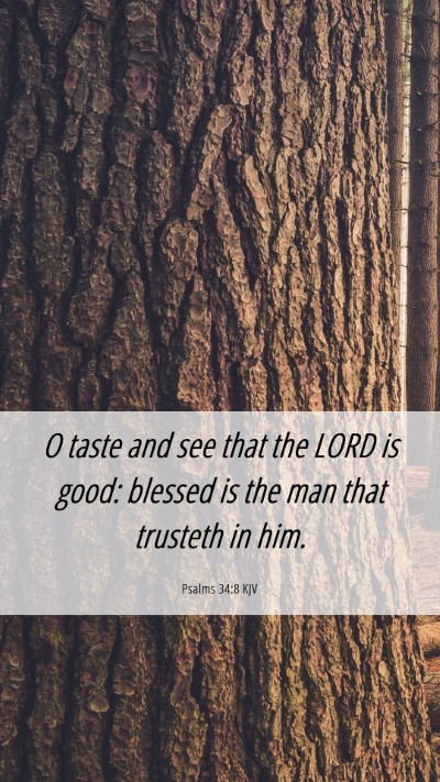 Picture 06 - Psalms 34:8 KJV Mobile Phone Wallpaper - O taste and see that the LORD is good: blessed is - Mobile Bible Verse Wallpaper