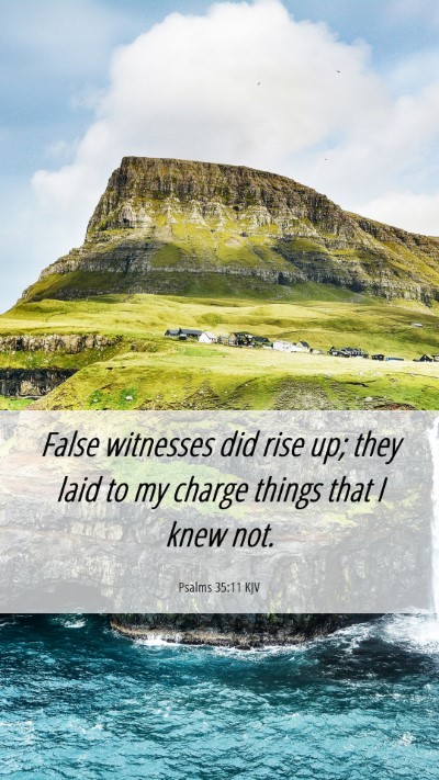 Picture 06 - Psalms 35:11 KJV Mobile Phone Wallpaper - False witnesses did rise up; they laid to my - Mobile Bible Verse Wallpaper