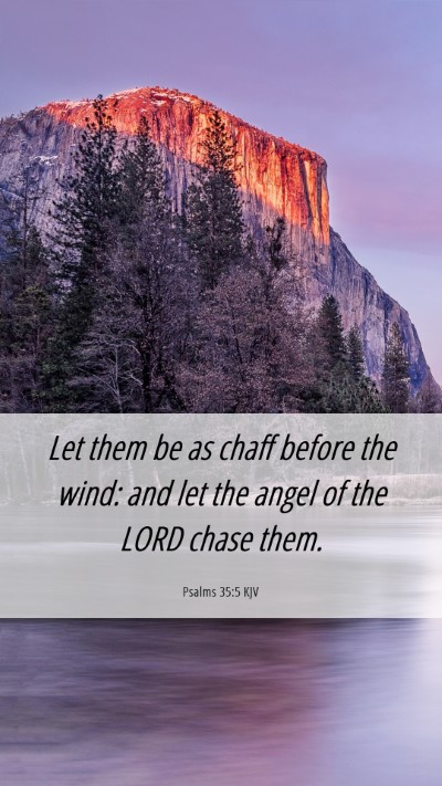 Picture 06 - Psalms 35:5 KJV Mobile Phone Wallpaper - Let them be as chaff before the wind: and let the - Mobile Bible Verse Wallpaper