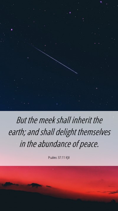 Picture 06 - Psalms 37:11 KJV Mobile Phone Wallpaper - But the meek shall inherit the earth; and shall - Mobile Bible Verse Wallpaper
