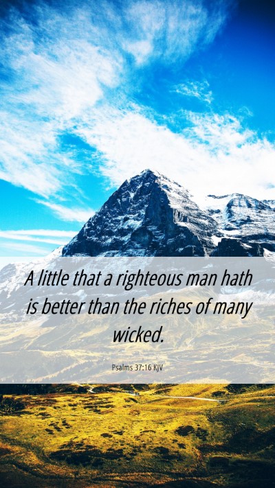 Picture 06 - Psalms 37:16 KJV Mobile Phone Wallpaper - A little that a righteous man hath is better than - Mobile Bible Verse Wallpaper