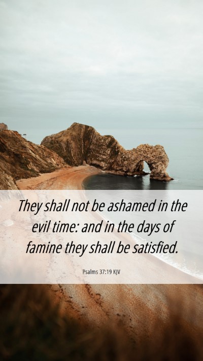 Picture 06 - Psalms 37:19 KJV Mobile Phone Wallpaper - They shall not be ashamed in the evil time: and - Mobile Bible Verse Wallpaper
