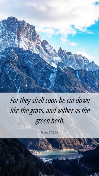 Picture 06 - Psalms 37:2 KJV Mobile Phone Wallpaper - For they shall soon be cut down like the grass, - Mobile Bible Verse Wallpaper