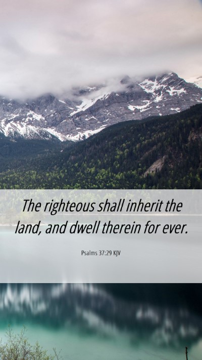 Picture 06 - Psalms 37:29 KJV Mobile Phone Wallpaper - The righteous shall inherit the land, and dwell - Mobile Bible Verse Wallpaper
