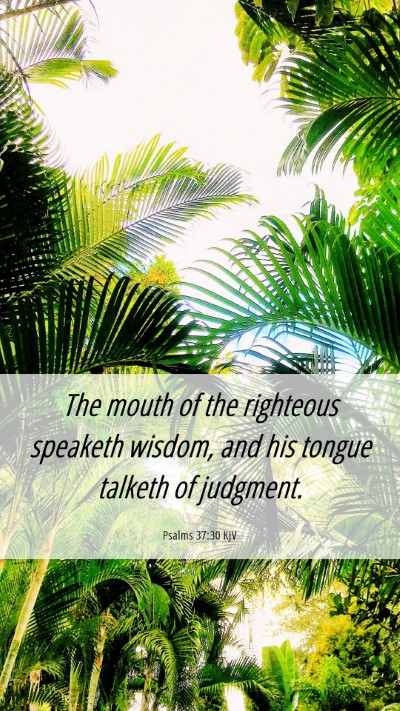 Picture 06 - Psalms 37:30 KJV Mobile Phone Wallpaper - The mouth of the righteous speaketh wisdom, and - Mobile Bible Verse Wallpaper