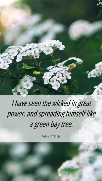 Picture 06 - Psalms 37:35 KJV Mobile Phone Wallpaper - I have seen the wicked in great power, and - Mobile Bible Verse Wallpaper