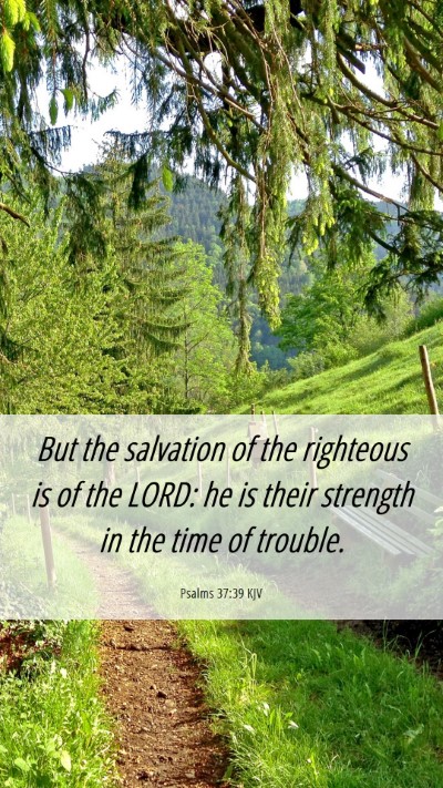 Picture 06 - Psalms 37:39 KJV Mobile Phone Wallpaper - But the salvation of the righteous is of the - Mobile Bible Verse Wallpaper