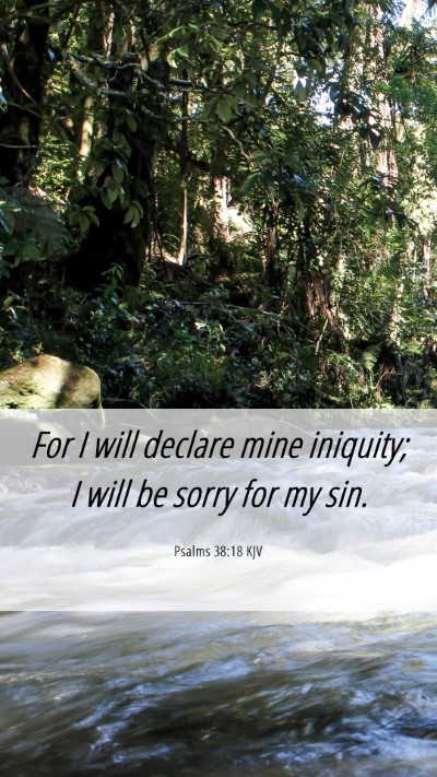 Picture 06 - Psalms 38:18 KJV Mobile Phone Wallpaper - For I will declare mine iniquity; I will be sorry - Mobile Bible Verse Wallpaper