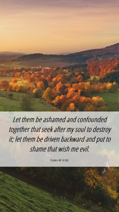 Picture 06 - Psalms 40:14 KJV Mobile Phone Wallpaper - Let them be ashamed and confounded together that - Mobile Bible Verse Wallpaper