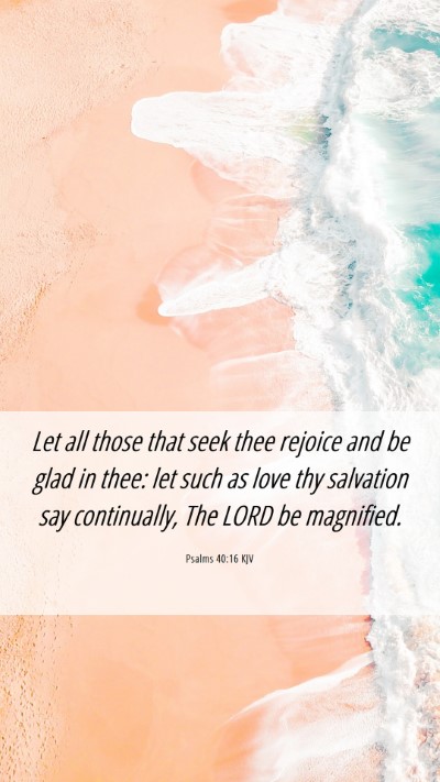 Picture 06 - Psalms 40:16 KJV Mobile Phone Wallpaper - Let all those that seek thee rejoice and be glad - Mobile Bible Verse Wallpaper