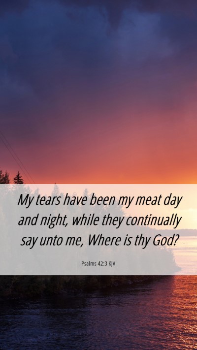 Picture 06 - Psalms 42:3 KJV Mobile Phone Wallpaper - My tears have been my meat day and night, while - Mobile Bible Verse Wallpaper
