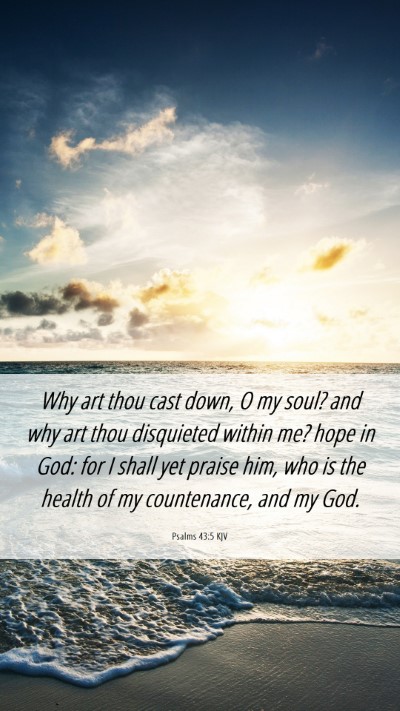 Picture 06 - Psalms 43:5 KJV Mobile Phone Wallpaper - Why art thou cast down, O my soul? and why art - Mobile Bible Verse Wallpaper
