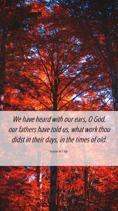Picture 06 - Psalms 44:1 KJV Mobile Phone Wallpaper - We have heard with our ears, O God, our fathers - Mobile Bible Verse Wallpaper