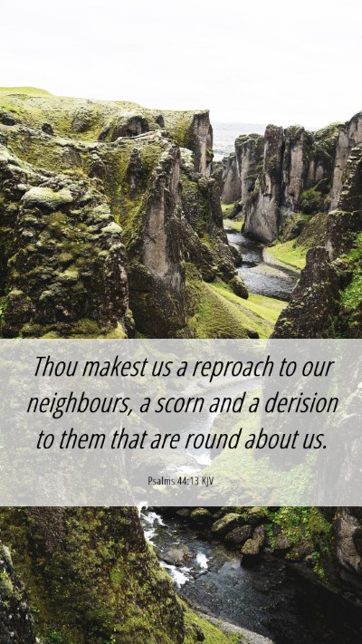 Picture 06 - Psalms 44:13 KJV Mobile Phone Wallpaper - Thou makest us a reproach to our neighbours, a - Mobile Bible Verse Wallpaper