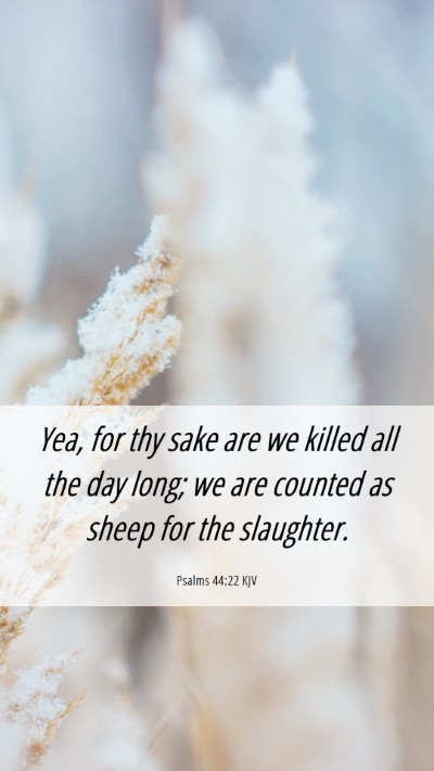 Picture 06 - Psalms 44:22 KJV Mobile Phone Wallpaper - Yea, for thy sake are we killed all the day long; - Mobile Bible Verse Wallpaper