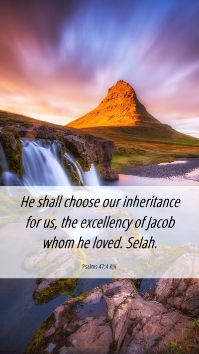 Picture 06 - Psalms 47:4 KJV Mobile Phone Wallpaper - He shall choose our inheritance for us, the - Mobile Bible Verse Wallpaper