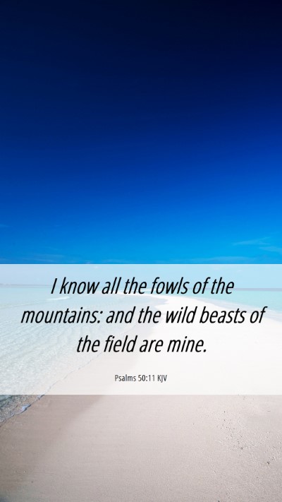 Picture 06 - Psalms 50:11 KJV Mobile Phone Wallpaper - I know all the fowls of the mountains: and the - Mobile Bible Verse Wallpaper
