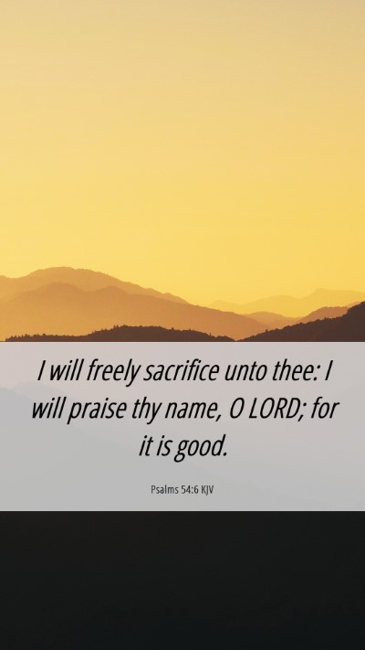Picture 06 - Psalms 54:6 KJV Mobile Phone Wallpaper - I will freely sacrifice unto thee: I will praise - Mobile Bible Verse Wallpaper