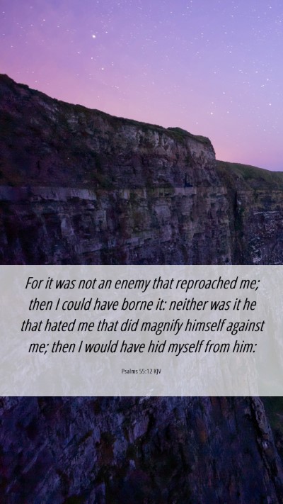 Picture 06 - Psalms 55:12 KJV Mobile Phone Wallpaper - For it was not an enemy that reproached me; then - Mobile Bible Verse Wallpaper