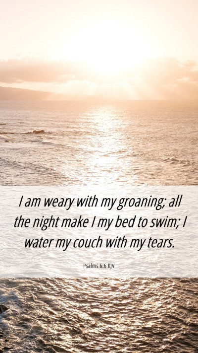 Picture 06 - Psalms 6:6 KJV Mobile Phone Wallpaper - I am weary with my groaning; all the night make I - Mobile Bible Verse Wallpaper