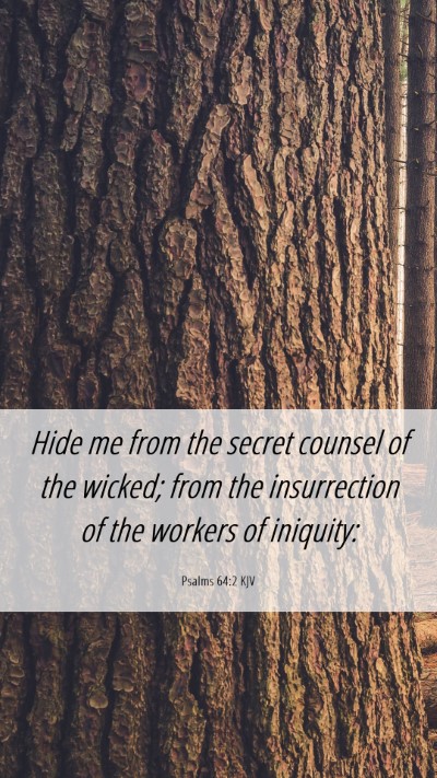 Picture 06 - Psalms 64:2 KJV Mobile Phone Wallpaper - Hide me from the secret counsel of the wicked; - Mobile Bible Verse Wallpaper