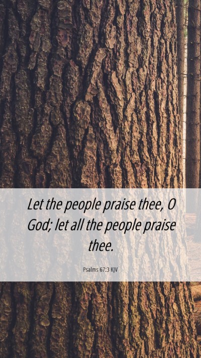 Picture 06 - Psalms 67:3 KJV Mobile Phone Wallpaper - Let the people praise thee, O God; let all the - Mobile Bible Verse Wallpaper