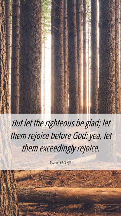 Picture 06 - Psalms 68:3 KJV Mobile Phone Wallpaper - But let the righteous be glad; let them rejoice - Mobile Bible Verse Wallpaper