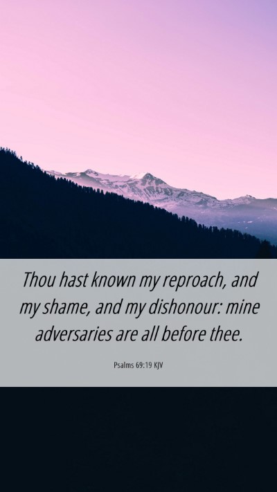 Picture 06 - Psalms 69:19 KJV Mobile Phone Wallpaper - Thou hast known my reproach, and my shame, and my - Mobile Bible Verse Wallpaper