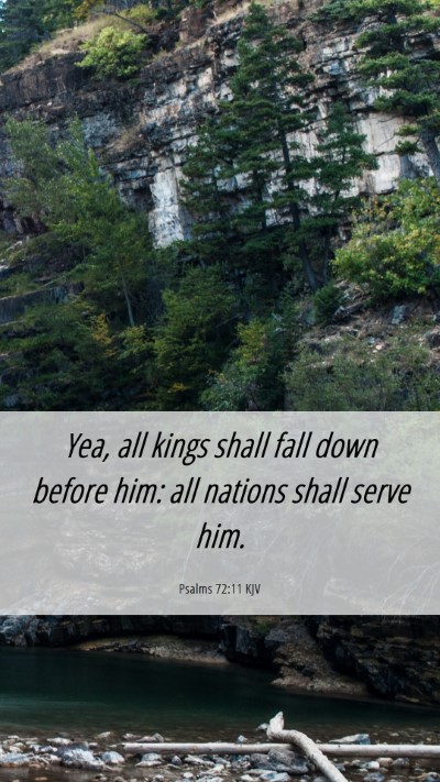 Picture 06 - Psalms 72:11 KJV Mobile Phone Wallpaper - Yea, all kings shall fall down before him: all - Mobile Bible Verse Wallpaper