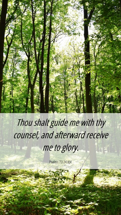Picture 06 - Psalms 73:24 KJV Mobile Phone Wallpaper - Thou shalt guide me with thy counsel, and - Mobile Bible Verse Wallpaper