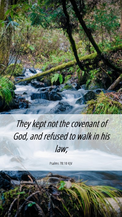 Picture 06 - Psalms 78:10 KJV Mobile Phone Wallpaper - They kept not the covenant of God, and refused to - Mobile Bible Verse Wallpaper