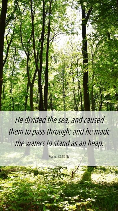 Picture 06 - Psalms 78:13 KJV Mobile Phone Wallpaper - He divided the sea, and caused them to pass - Mobile Bible Verse Wallpaper