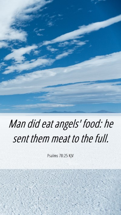Picture 06 - Psalms 78:25 KJV Mobile Phone Wallpaper - Man did eat angels' food: he sent them meat to - Mobile Bible Verse Wallpaper