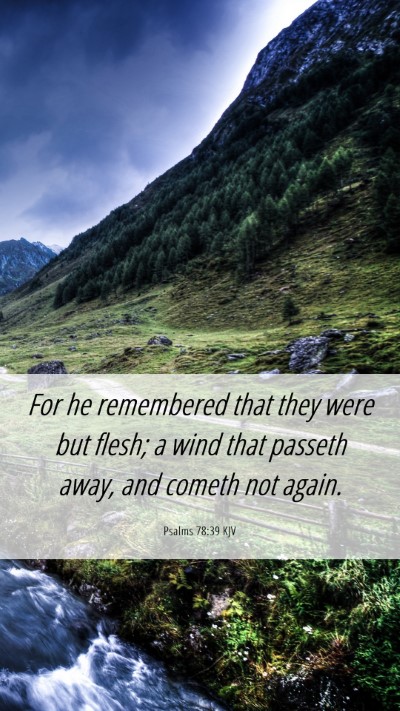 Picture 06 - Psalms 78:39 KJV Mobile Phone Wallpaper - For he remembered that they were but flesh; a - Mobile Bible Verse Wallpaper